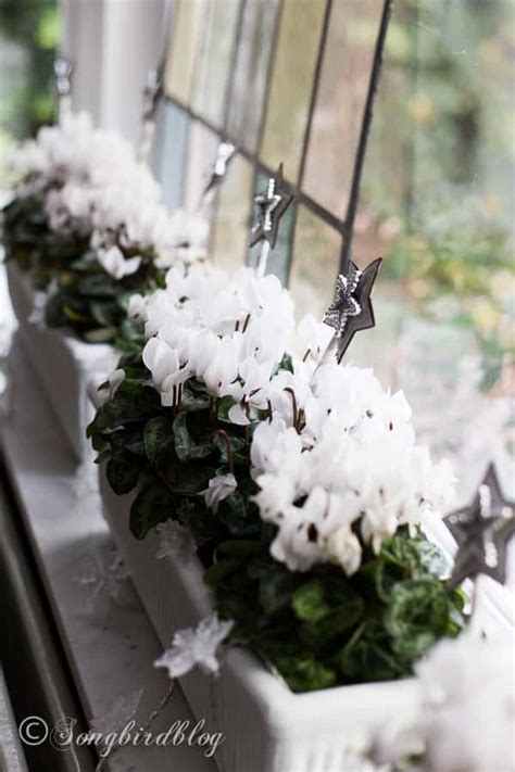 Window Sill Decorations for Christmas  Songbird