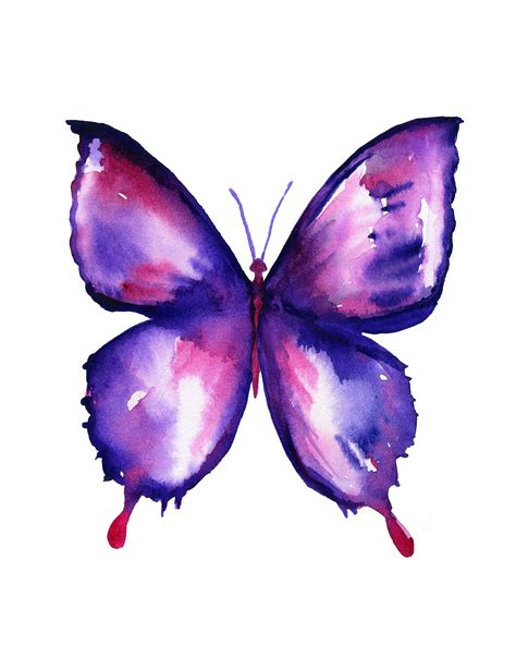 Butterfly Watercolor Print