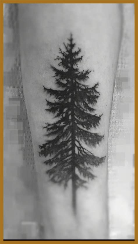 Fir Pine Tattoo Jan2016 Hooligansink Pine Tattoo Best