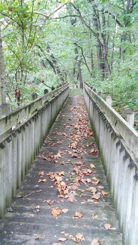 Explore The Charming Boardwalks At Pershing State Park In Missouri