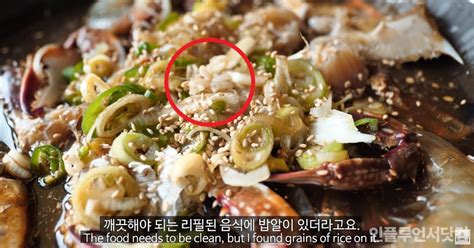 내일 밤까지는 꼭 인세영 기자님의 코로나 백신 관련 뉴스를 영문으로 번역하겠습니다. 방금 추가로 드러난 하얀트리 간장게장 CCTV 내용 - 지식의 정석