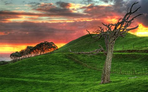 Wonderful Grassy Hill By The Sea At Sunset Hdr Wallpaper 1920x1200