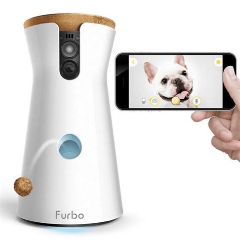 Furbo Dog Camera Giveaway - Missing Sleep