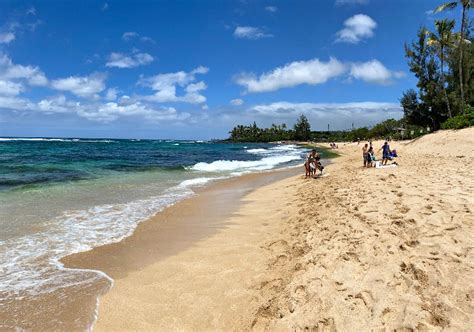 Laniakea Beach Better Known As Turtle Beach On The North Shore