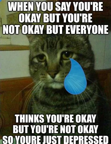 Depressed Cat Memes Piñata Farms The Best Meme Generator And Meme