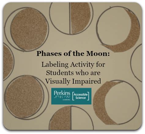 Phases Of The Moon Labeling Activity Perkins School For The Blind