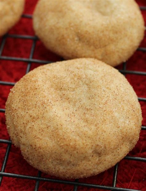 Maybe you would like to learn more about one of these? Easy Snickerdoodle Cookies Without Butter Recipe | Recipe ...