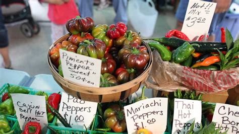 Librivox is a hope, an experiment, and a question: Midland Area Farmers Market | Michigan