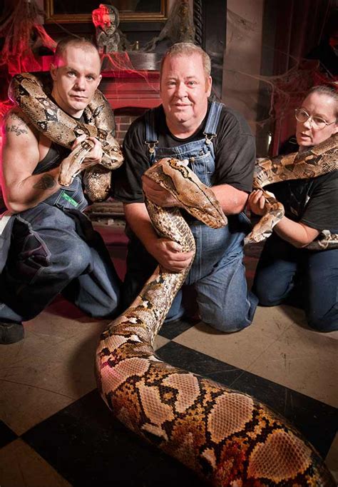 Reticulated Python Named Medusa Is The Longest Snake Ever In Captivity