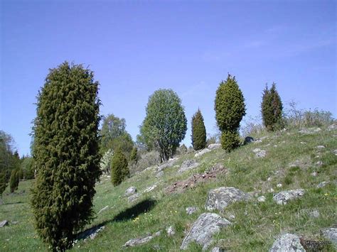 Landskap - Landscape