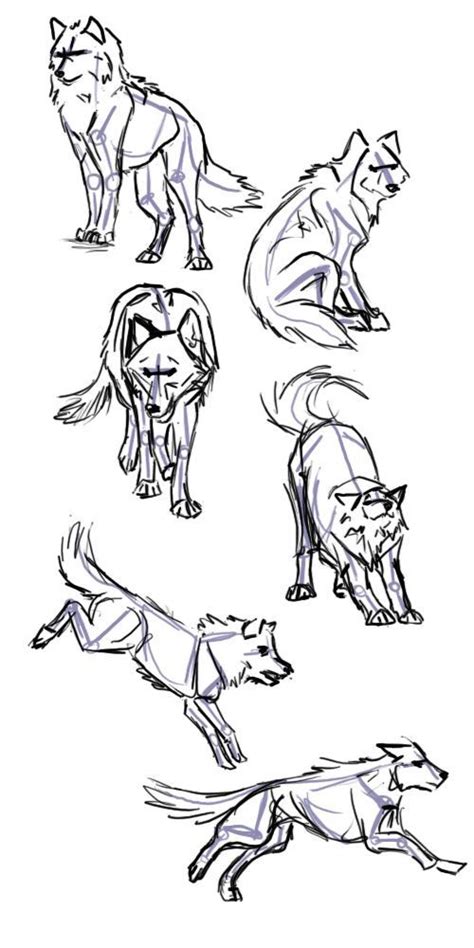 Useful drawing references and sketches for beginner artists. Pin by Isabelle Czwodzinski on Drawing Reference: Animals ...