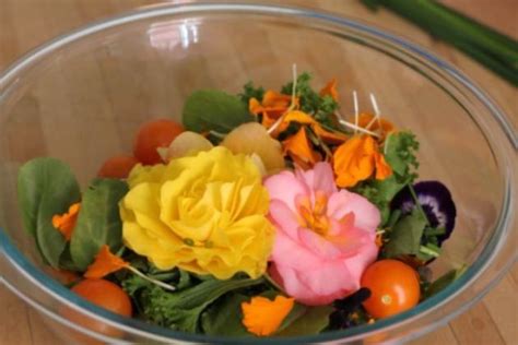 We did not find results for: Oh! How I love edible flowers… | Edible flowers ...