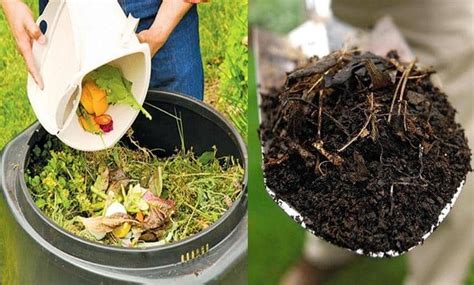 Compost Casero Haz Tu Mini Compostadora En 3 Pasos Tu Ecosistema Images