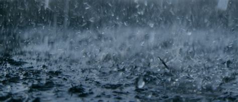 Raindrops Hitting The Ground And Splashing By Blue Ridge Film Royalty