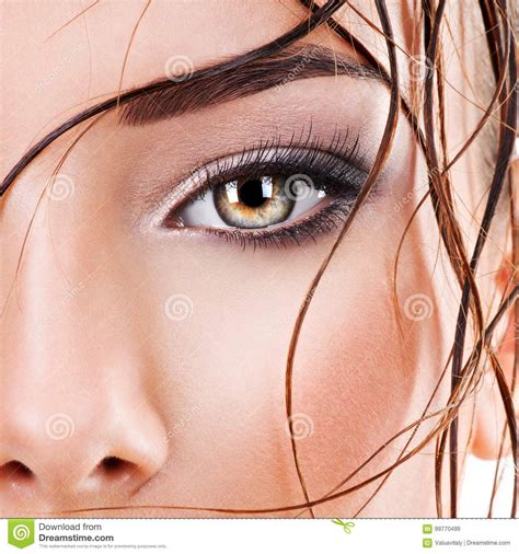 Closeup Female Eye With Dark Brown Eye Makeup Stock Image Image Of