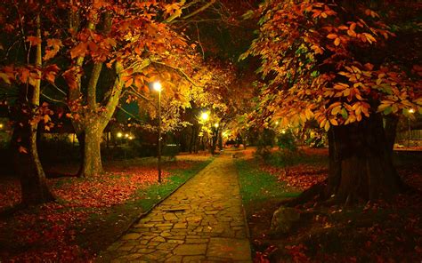 Fondos de pantalla Otoño parque sendero noche hojas lámparas x HD Imagen