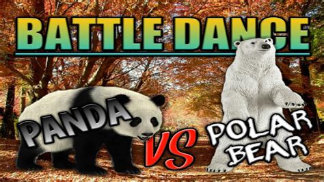 Panda Vs Polar Bear Battle Dance Youtube