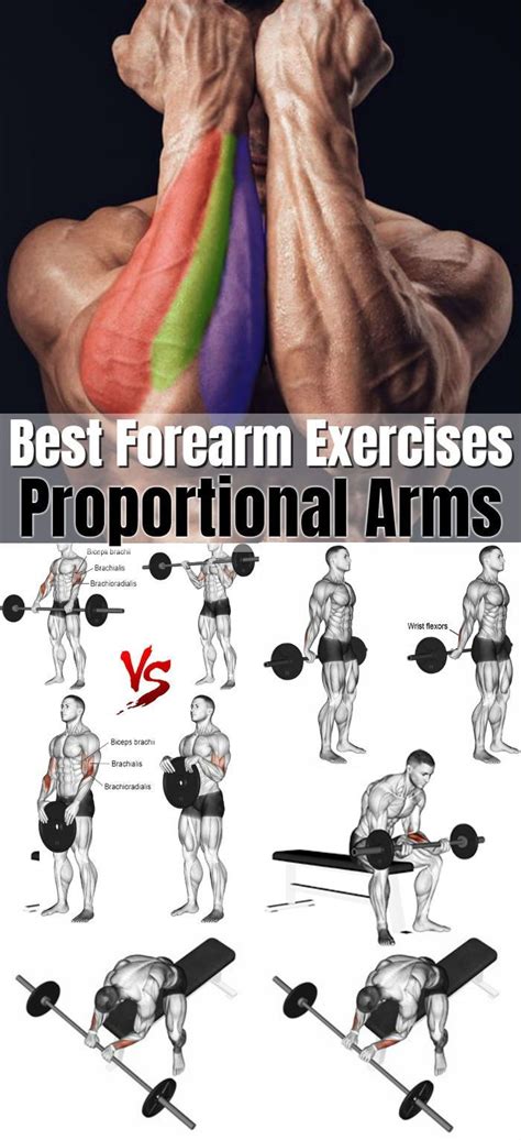 6 of the best forearm exercises for muscle growth and strength for proportional arms forearm