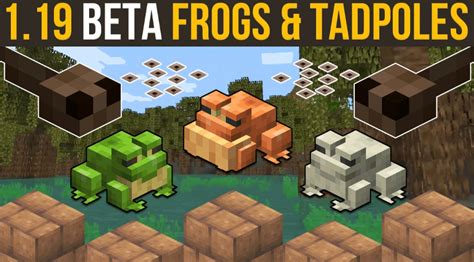 5 Best Ways To Use Frogs In Minecraft 119 The Wild Update