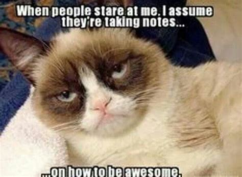 1128 Best Images About Grumpy Cat And Grumpy Dwarf On Pinterest Shadow