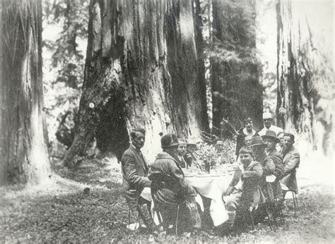 Celebrating The Past And Future Of Our Parks Save The Redwoods League
