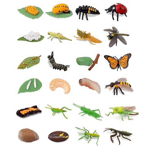 Buy 24pcs Life Cycle Figuresinsect Figurines Life Cycle Of Monarch