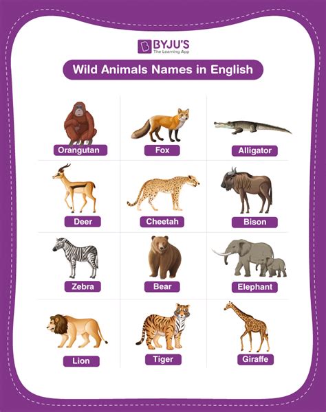 Wild Animal Names Explore The List Of 100 Wild Animals In English