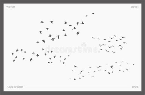 A Flock Of Birds Drawn Vector Illustration Sketch Stock Vector