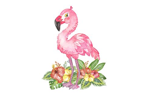 Tropical Flamingo Clipart Watercolor Pink Flamingo Flowers Summer By