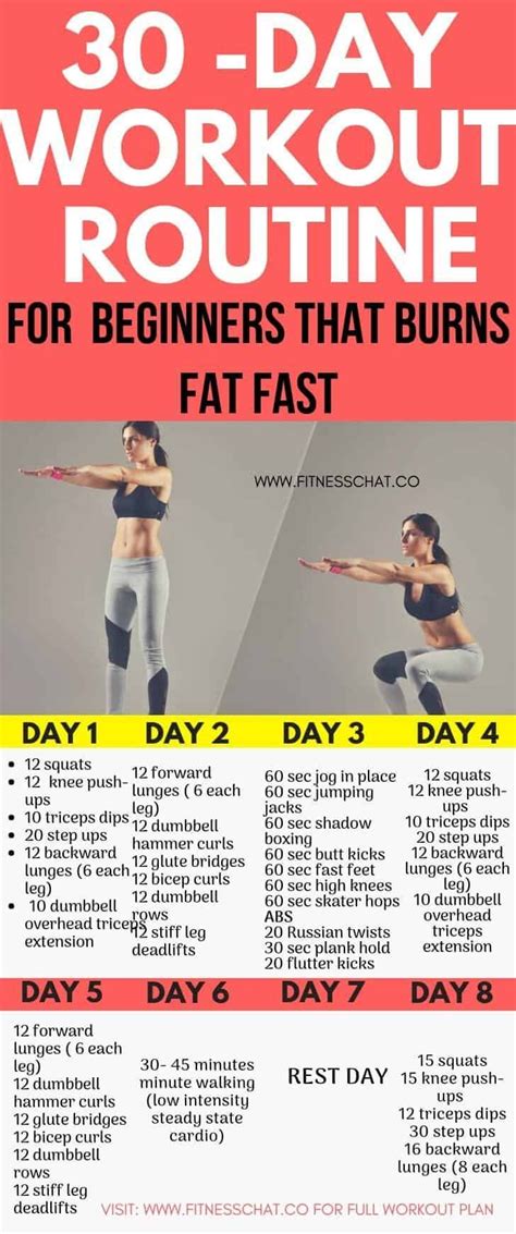 29 Fat Burning Exercises For Beginners Machine Dailyabsworkouttips