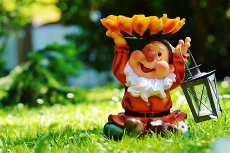 But the excessive love given to garden gnomes may causes deviations: The History of Garden Gnomes - Primrose Blog