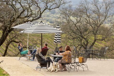 The Spill 3 Reasons To Visit Sonoma Valley Wineries