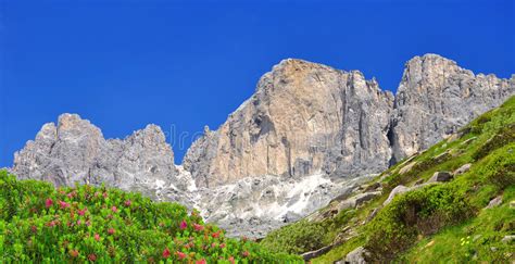 147 Peaks Rosengarten Photos Free And Royalty Free Stock Photos From
