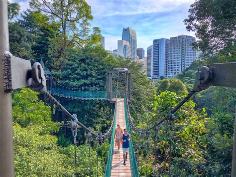 Kl Forest Eco Park How To Do The Canopy Walk And Fun Hike