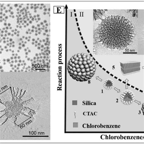 A Schematic Of The Silica Nanosphere Kcc 1 Formation Proposed By