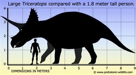 Top 10 Ceratopsian Dinosaurs