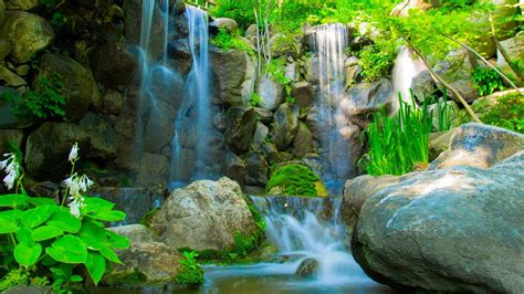Music Waterfall Jungle Sounds Relaxing Rainforest Nature Sounds Singing