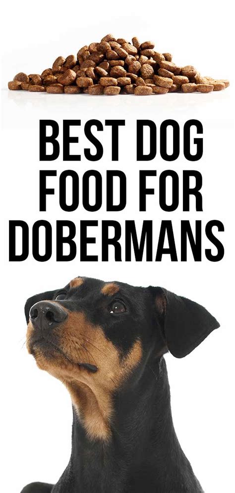 A week later, when i had to switch to royal canine bought at a local petsmart, my puppy didn't think it was edible. Best Dog Food For Dobermans - Great Choices for Active Dogs