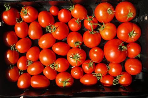 T Farm Tomatoes With Taste Saturdays Large Tomatoes