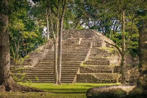 Las Ruinas Mayas Recién Descubiertas En El Checo De Cahal Belice Foto