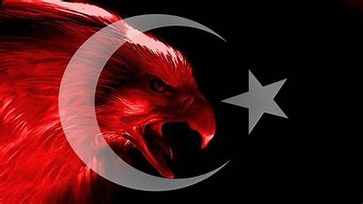Flag Turkey Turkish Eagle Wallpapers Illustration Backgrounds