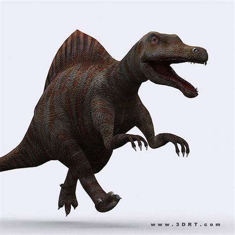 Here you can explore hq cute dinosaur transparent illustrations, icons and clipart with filter setting like size, type, color etc. animated 3DRT - Dinosaurs - Spinosaurus | CGTrader