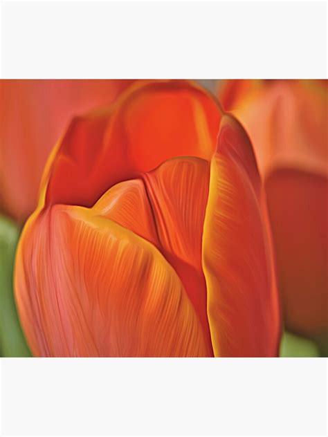 Orange Tulip Flower Art Painting Poster For Sale By Universalenigma