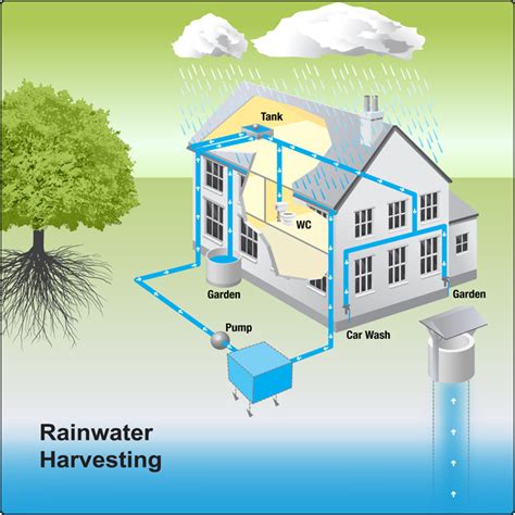 Importance Of Rainwater Harvesting In Modern Days