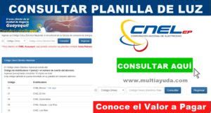 Planilla De Luz CNEL Consultar Valor A Pagar E Imprimir Factura