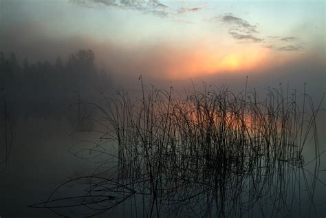 Foggy Lake Sunrise 8x10 Nature Photography Art Photographs