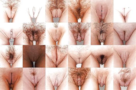 Select Your Favorite Pussy Shape 7 Pics Xhamster