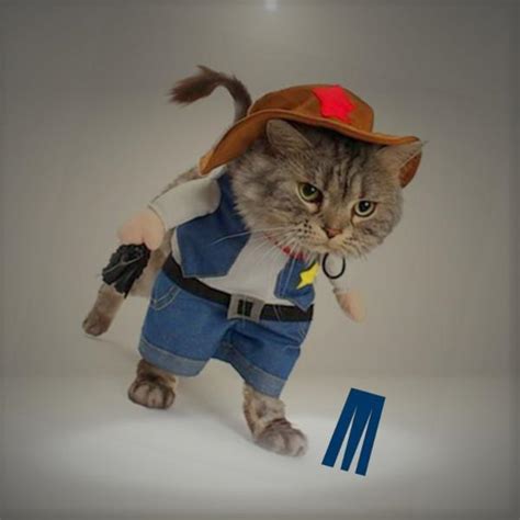 Mikayoo Pet Dog Cat Cowboy Costumes Petagadget