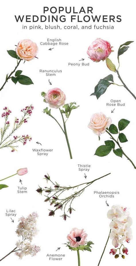 Amazing and most beautiful nemesia flowers. Unique Wedding Flowers Ideas | Pink wedding flowers ...