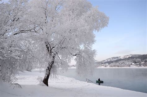 L'Inverno in Siberia - Sputnik Italia